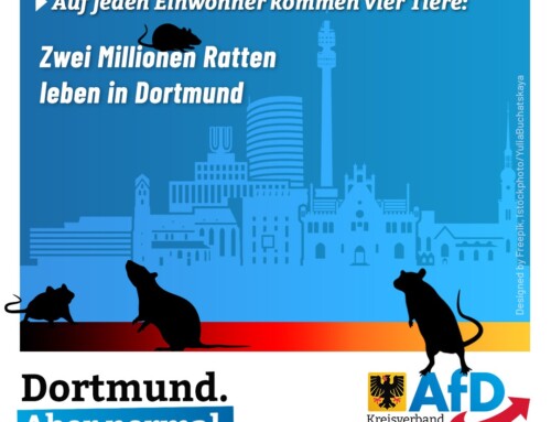 +++ Auf jeden Einwohner kommen vier Tiere – Zwei Millionen Ratten leben in Dortmund +++